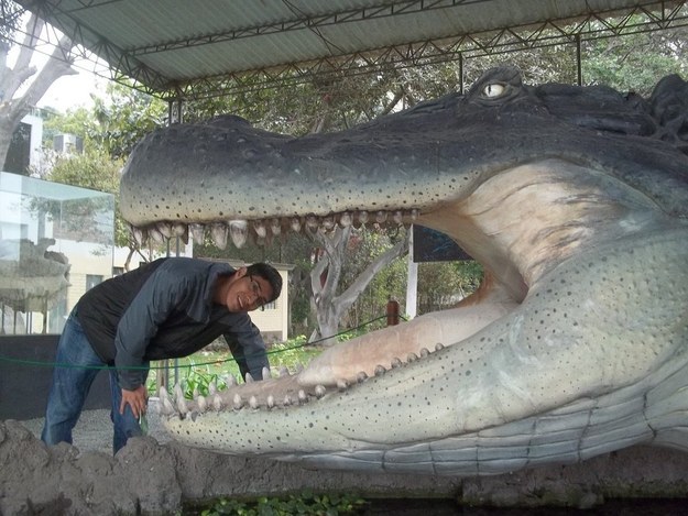 Giant crocodiles